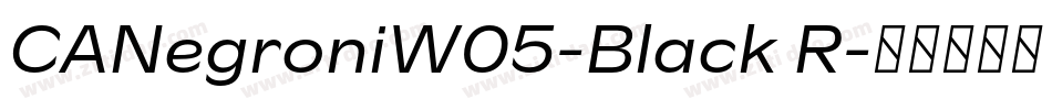 CANegroniW05-Black R字体转换